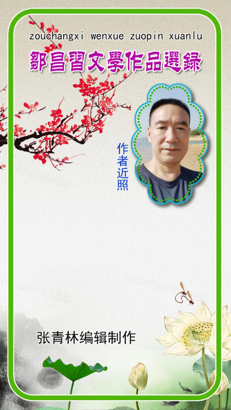 邹昌习文学作品