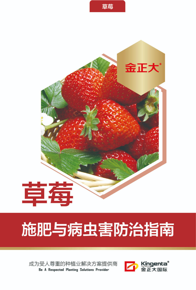 草莓施肥与病虫害防治指南