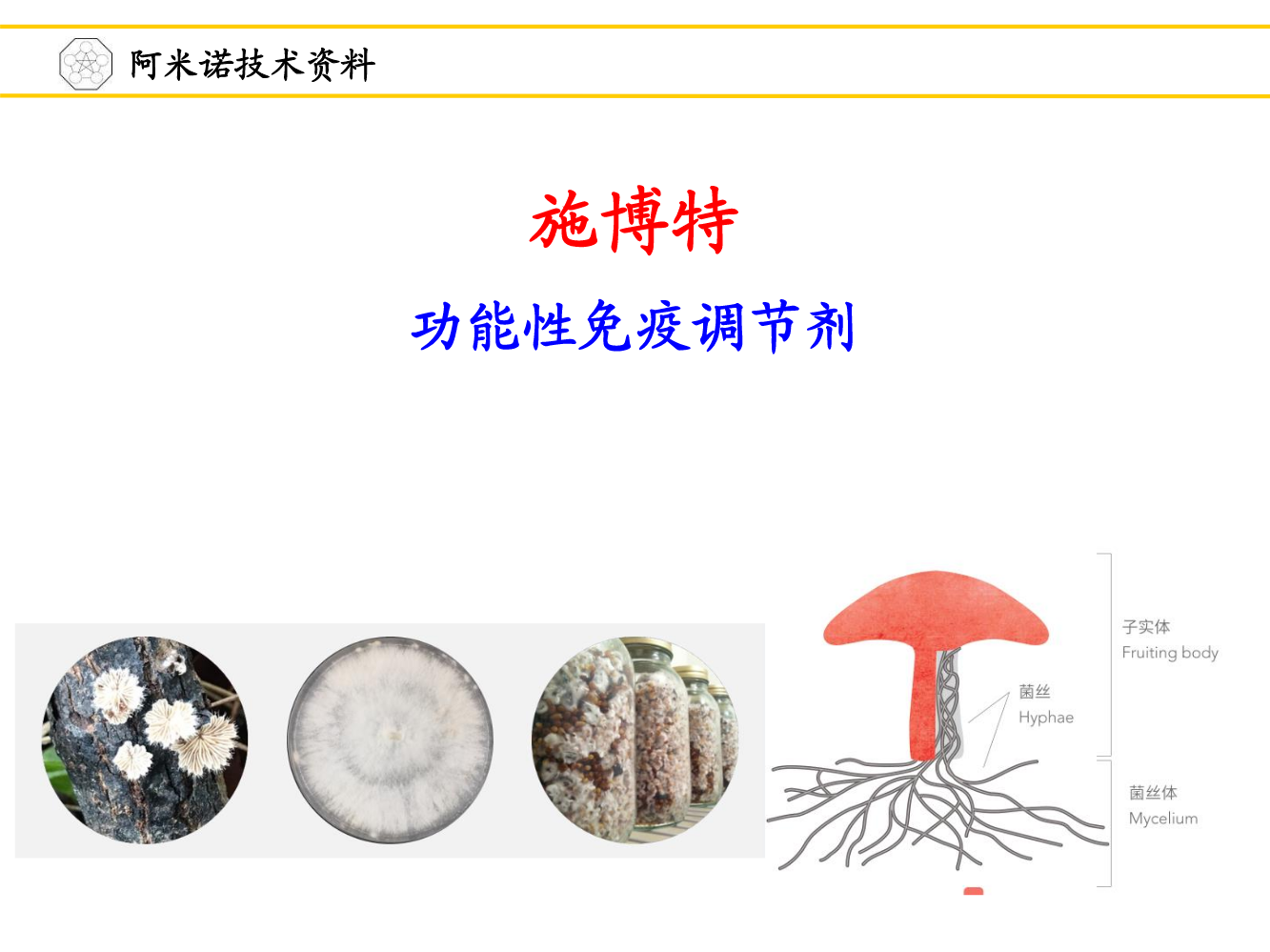 施博特产品资料