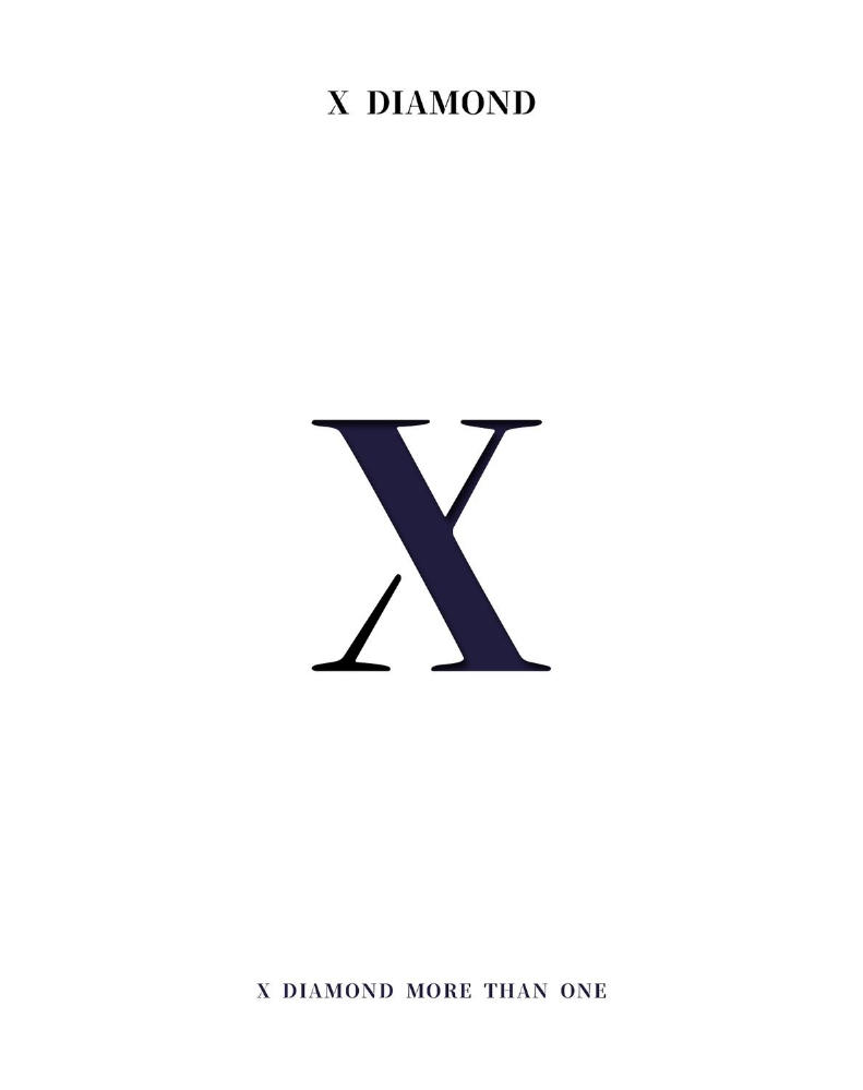 X DIAMOND 品牌手册