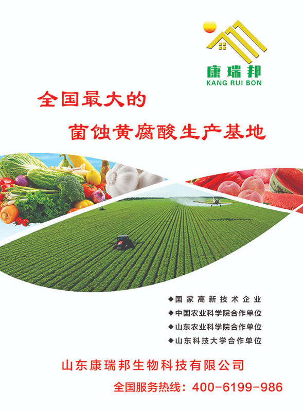 康瑞邦手册宣传