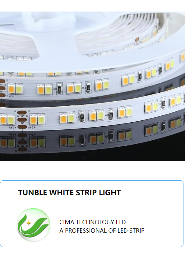 Tunable white strip light 2022