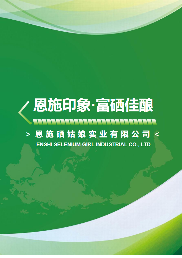 企业宣传册_副本