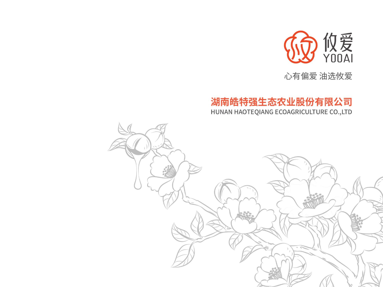 攸爱企业宣传册 2022