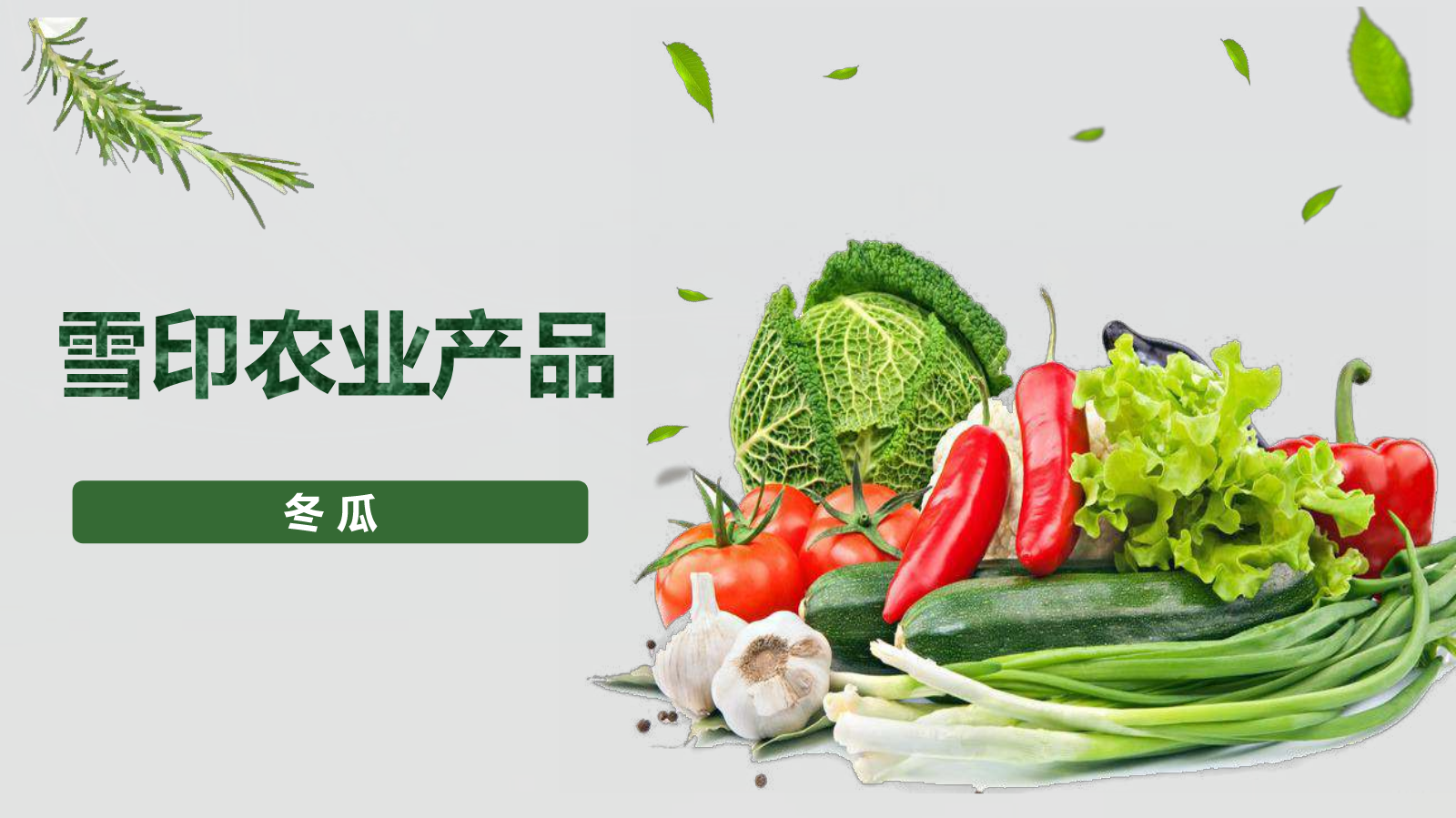 雪印农业--冬瓜篇