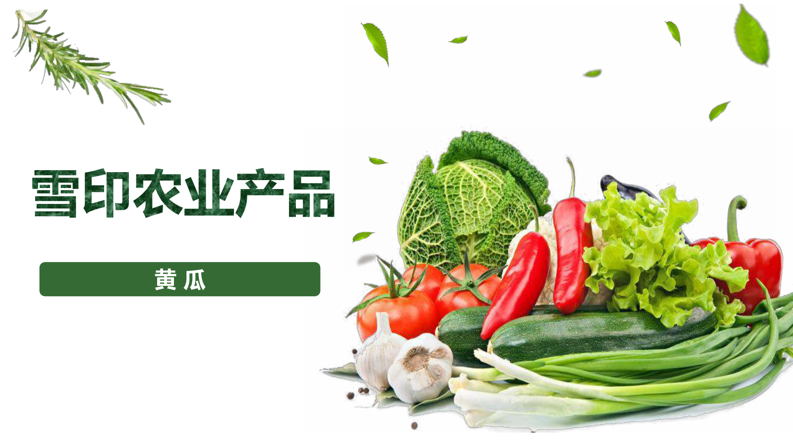 雪印农业黄瓜，苦瓜篇