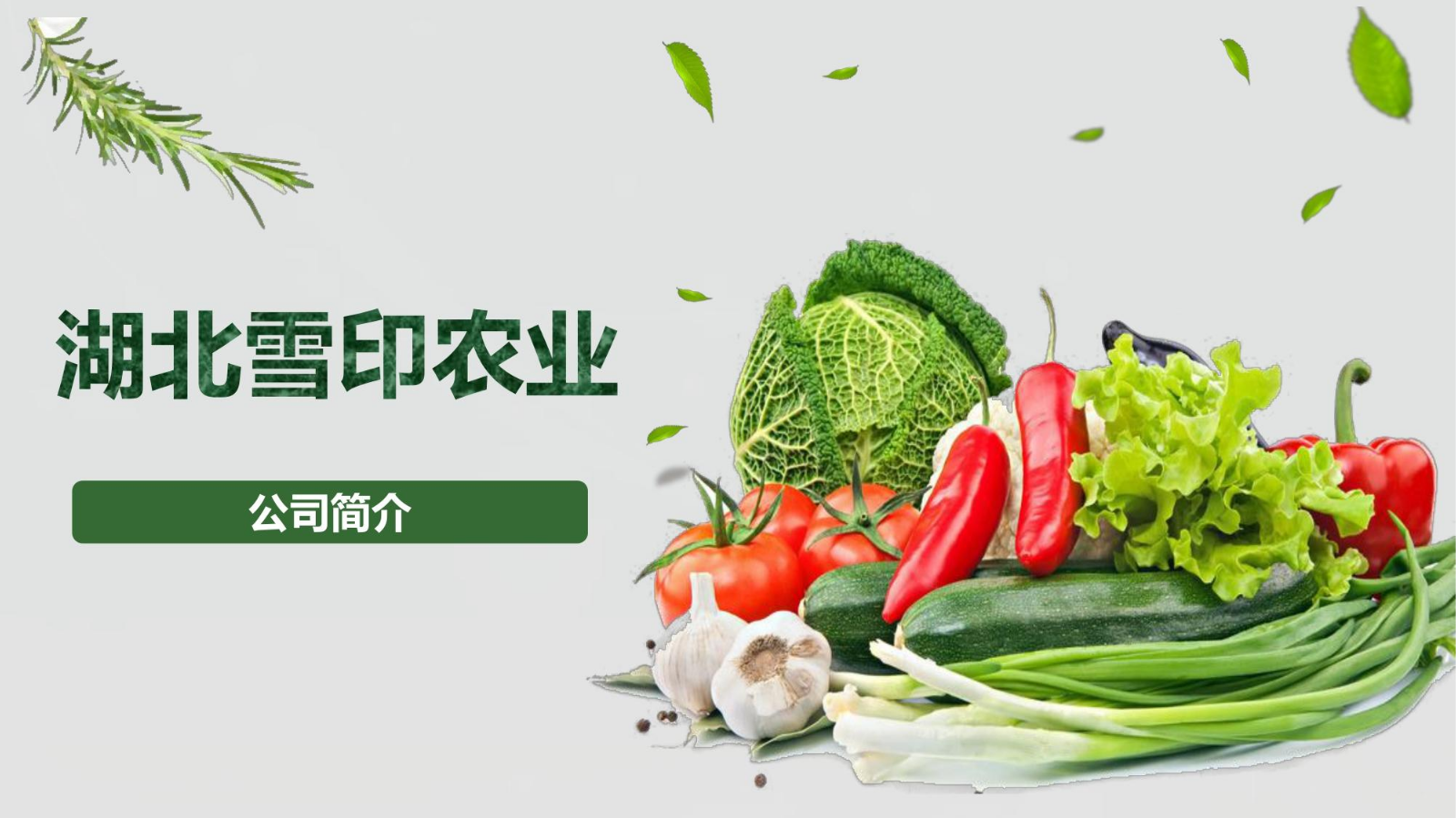 雪印农业--茄果篇