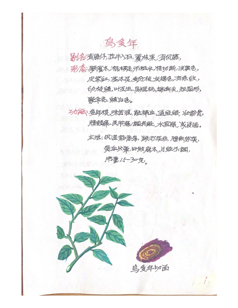 1.乌受年切面(2)