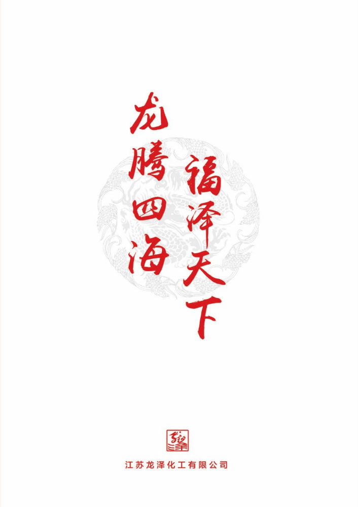 2023龙泽化工画册