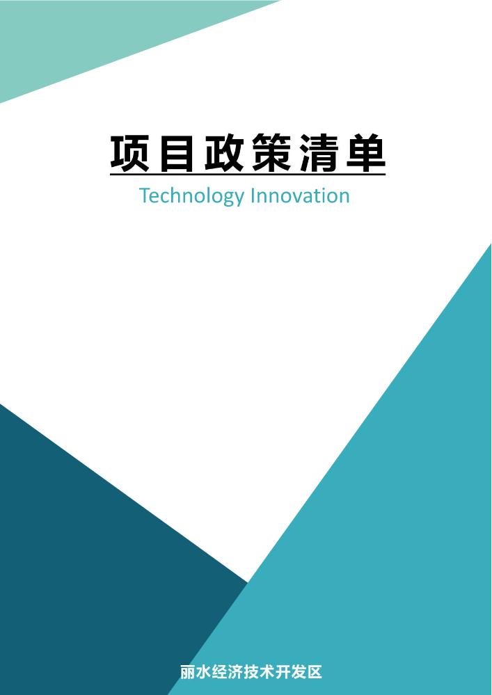 丽水经济技术开发区 项目政策清单