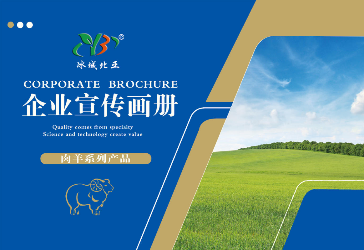 北亚肉羊电子画册
