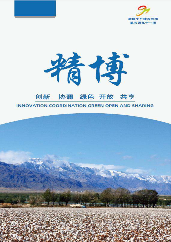 第五师九十一团投资指南