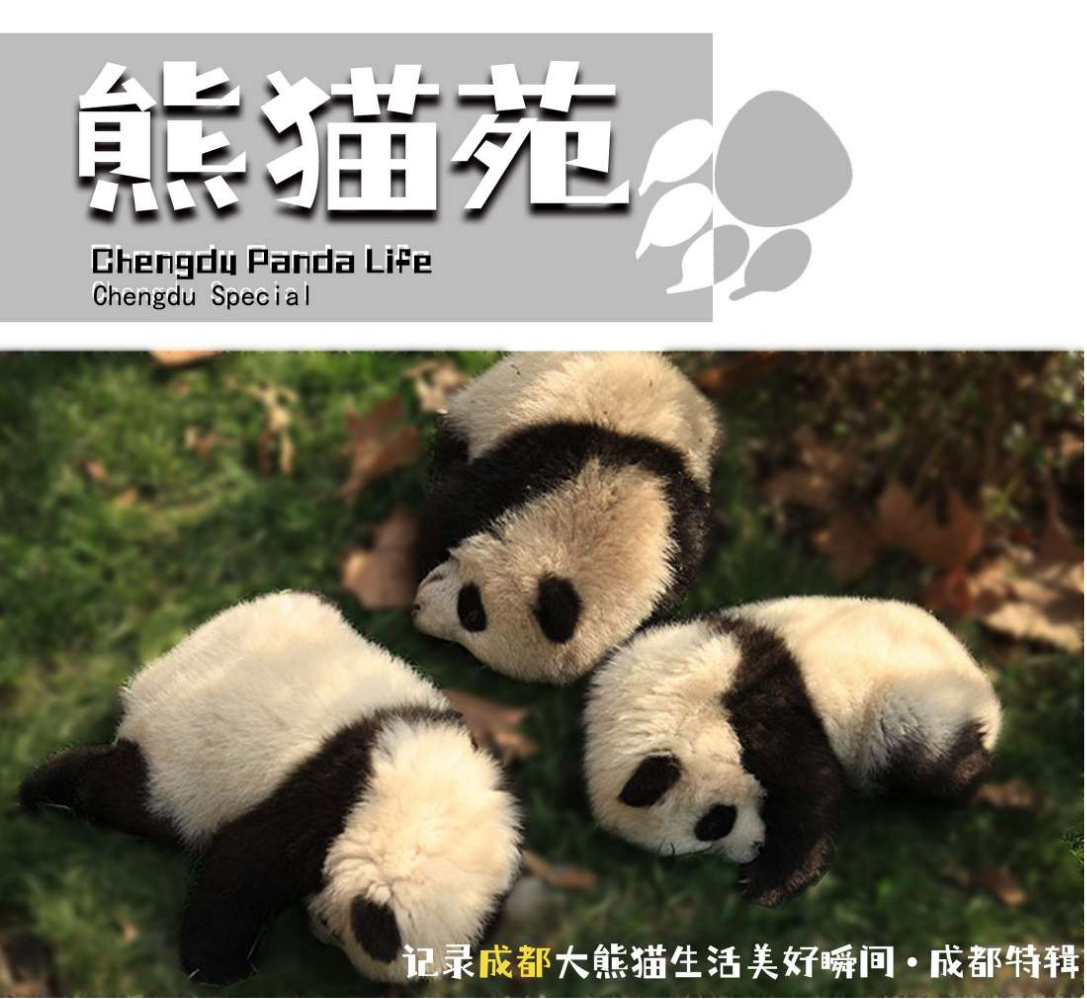 书籍设计期末作业