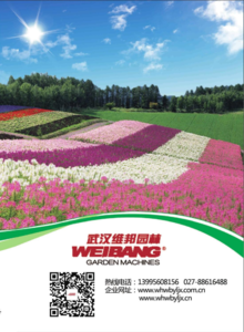 武汉维邦园林花卉画册
