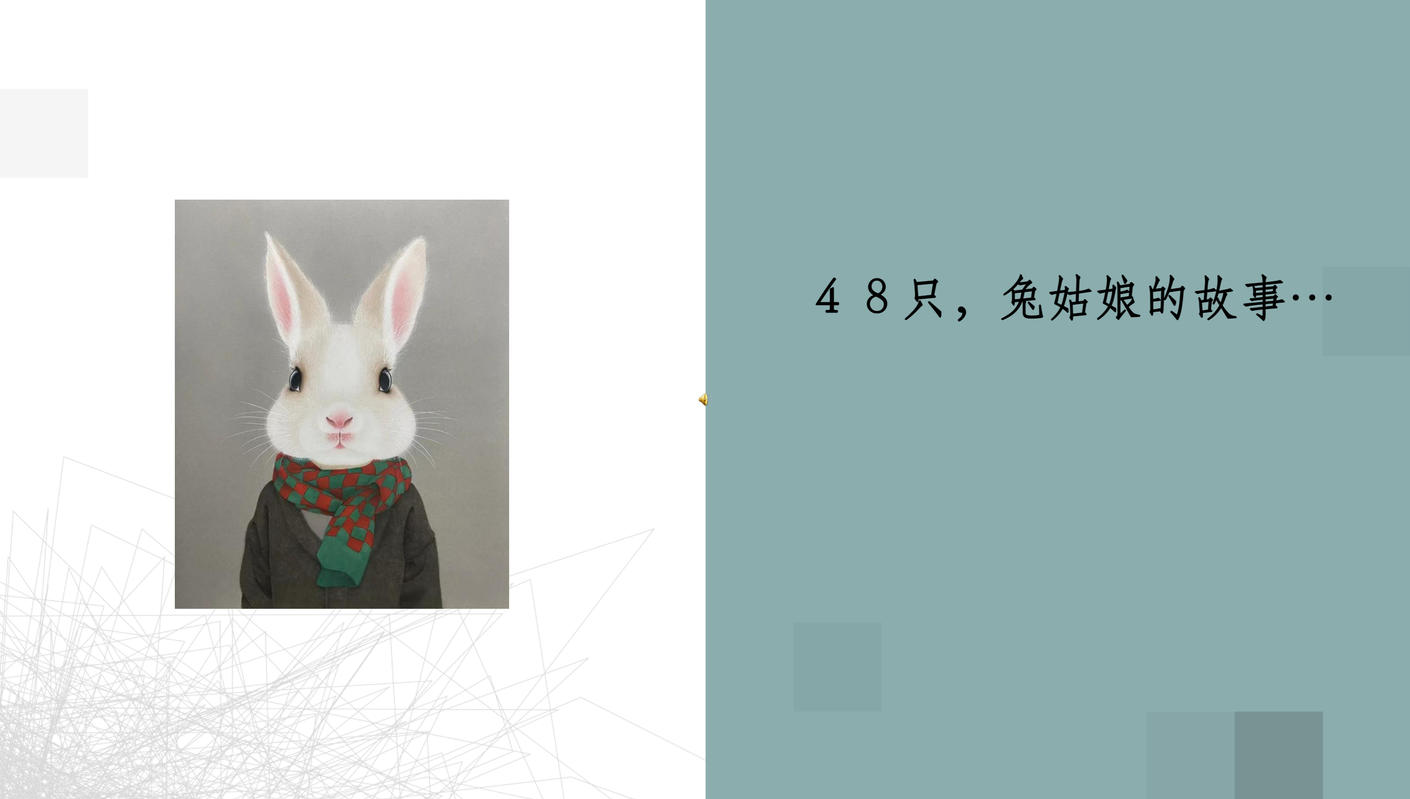 ４８只兔姑娘的故事(1)