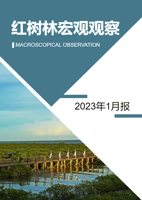 红树林宏观观察2023年1月报