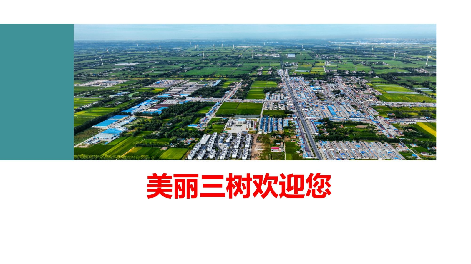 三树镇推介1.233(1)