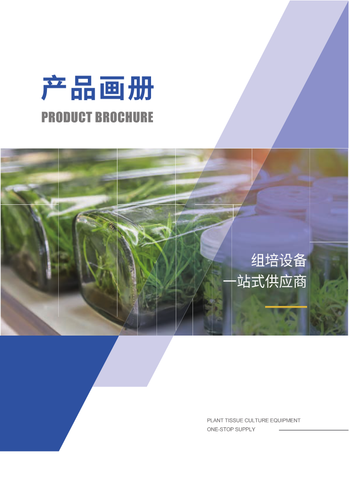 茉钡特画册初版