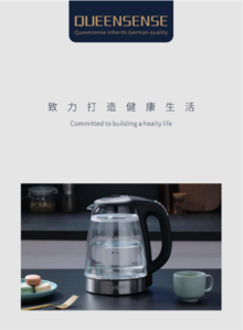 Desung Electric Kettle 2023