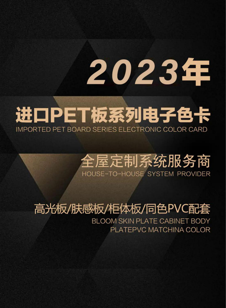 2023进口PET板系列电子色卡