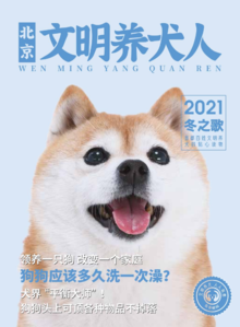 北京文明养犬人2021冬之歌