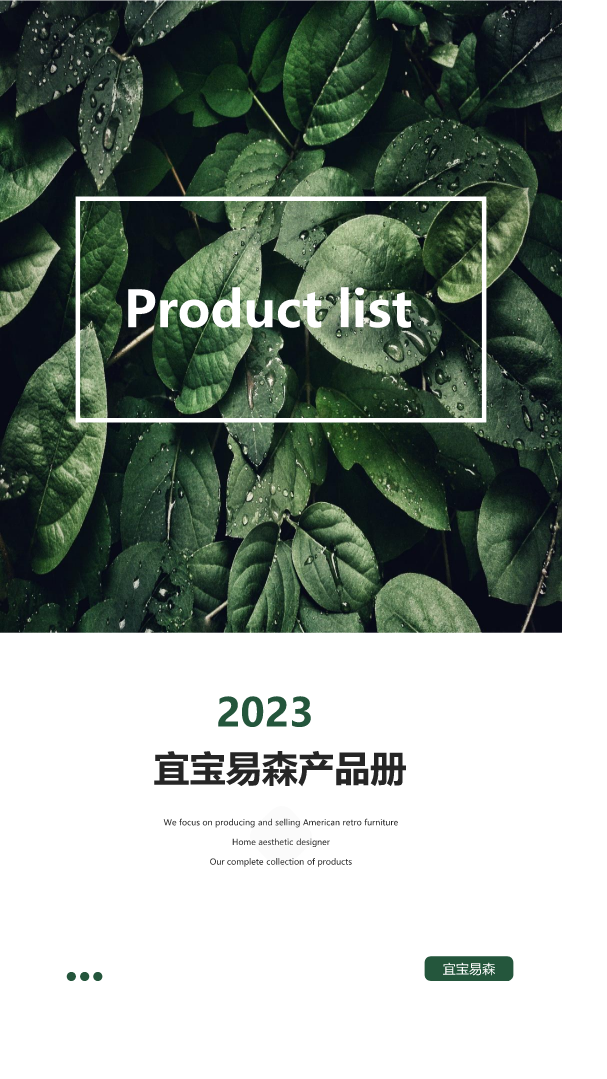 宜宝易森产品册一半