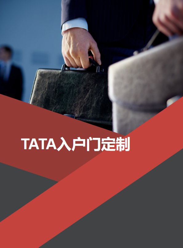 TATA入户门定制