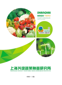 2023上海兴绿蔬菜种苗研究所    产品宣传画册