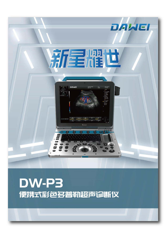 DW-P3便携彩超