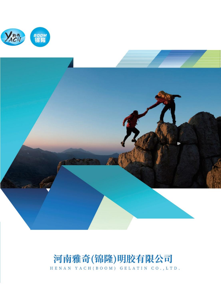 河南雅奇明胶有限公司宣传画册