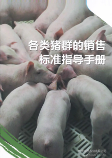 各类猪群的销售标准指导手册（养殖营销处整理）