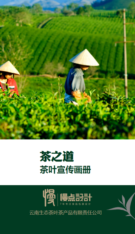 简约茶文化宣传画册