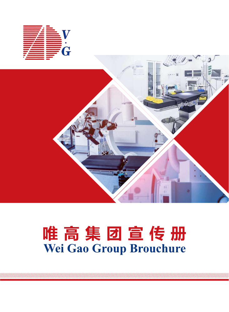 唯高集团宣传册