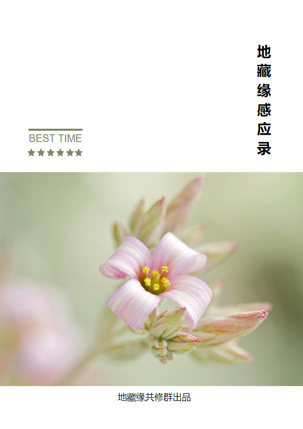 地藏缘感应录-智谦