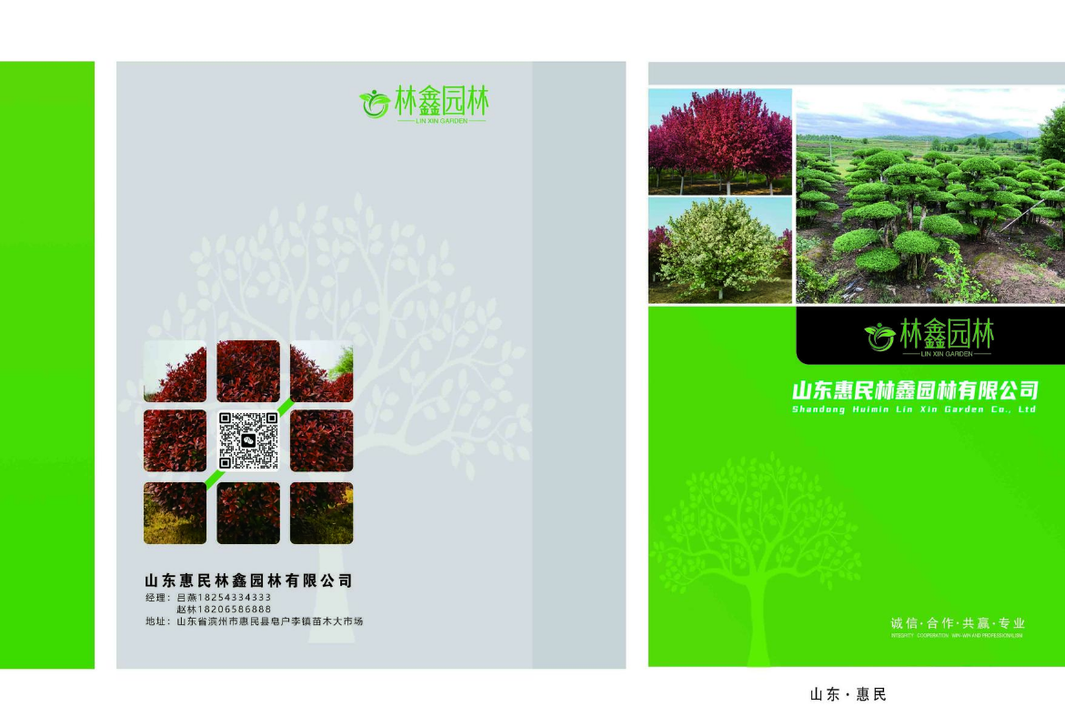 未命名书刊