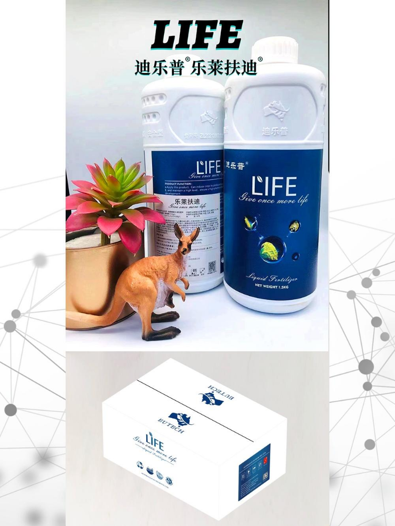 迪乐普乐莱扶迪1.5kg