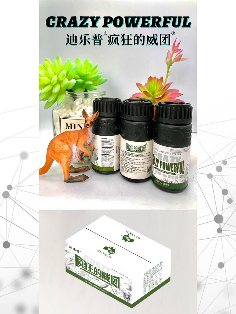 迪乐普疯狂的威团