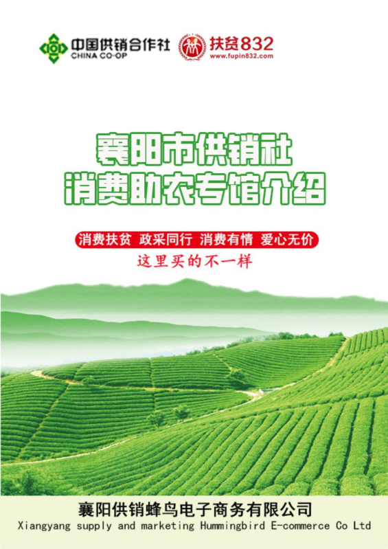 供销蜂鸟宣传册