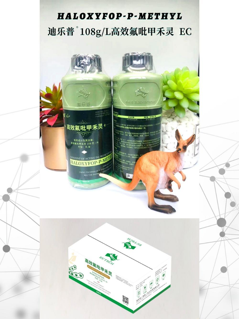 迪乐普高效氟吡甲禾灵400g