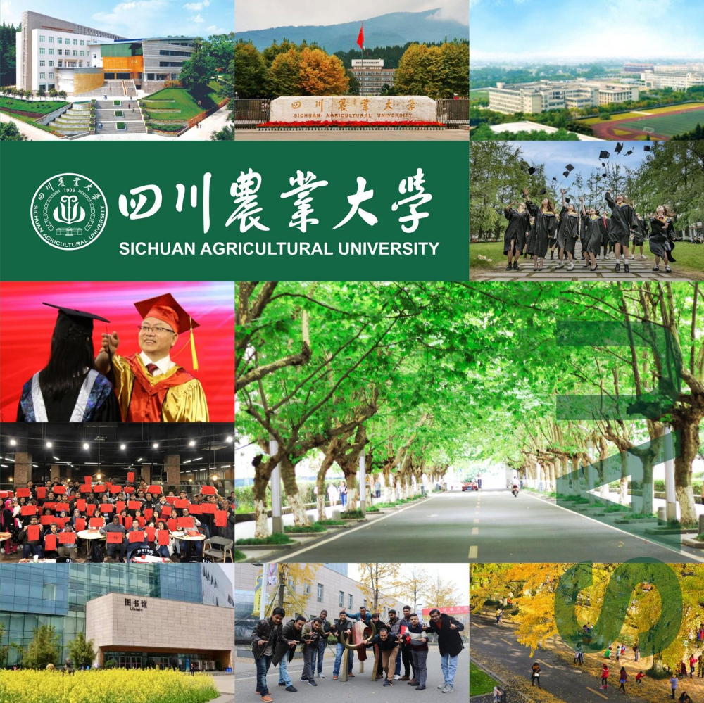 四川农业大学宣传画册（英文版）