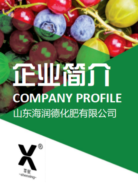 山东海润德化肥有限公司