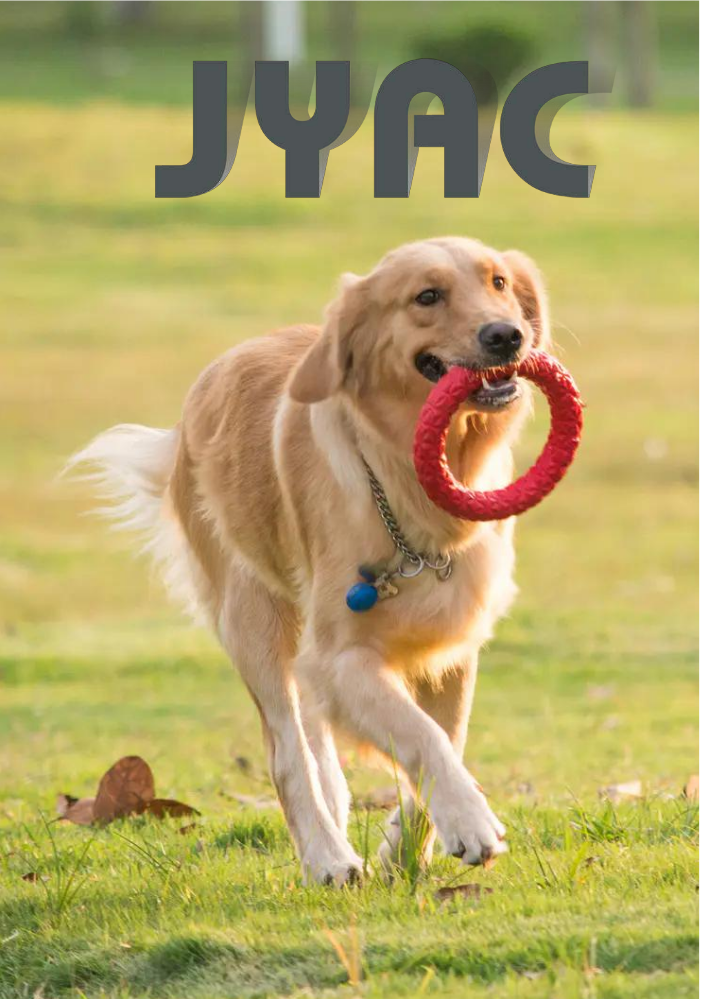 JYAC-Pet Toy Catalog-004