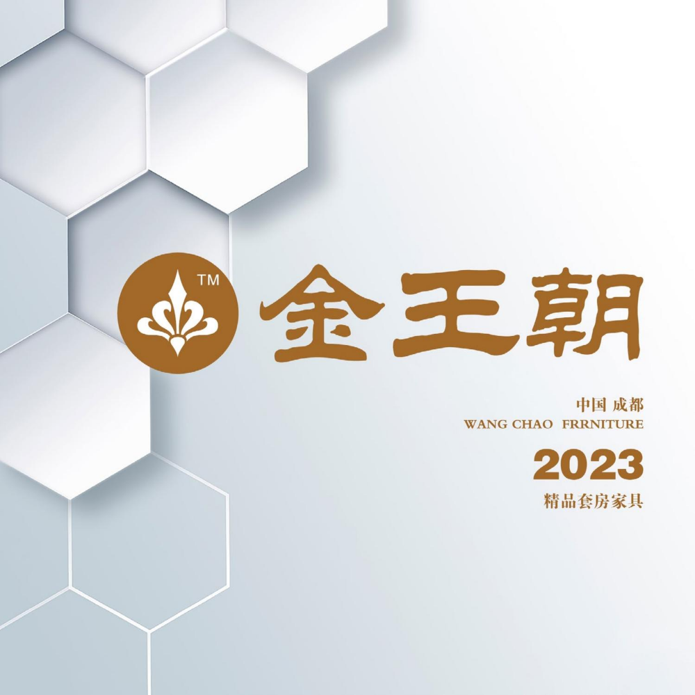 金王朝-2023电子图册
