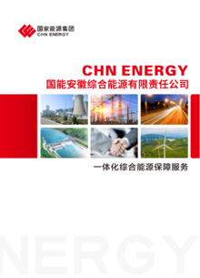 国能安徽综合能源有限责任公司