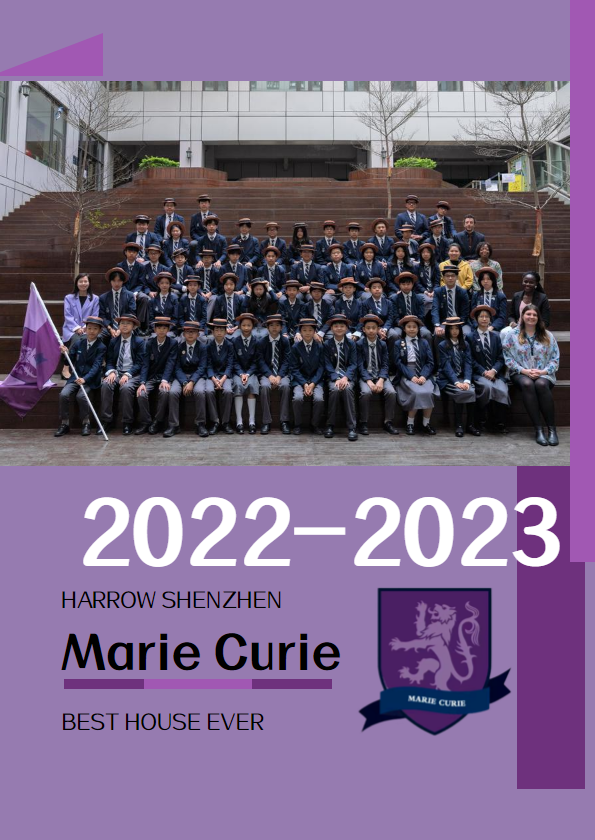 Marie Curie Year Book