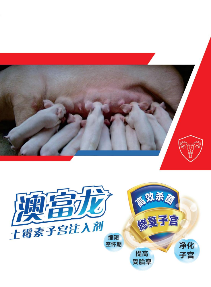 澳富龙——10%土霉素子宫注入剂（猪用）