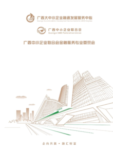 广西中小企业联合会-金融服务专业委员会 业务宣传册-2