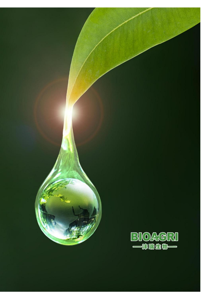 沣瑞生物