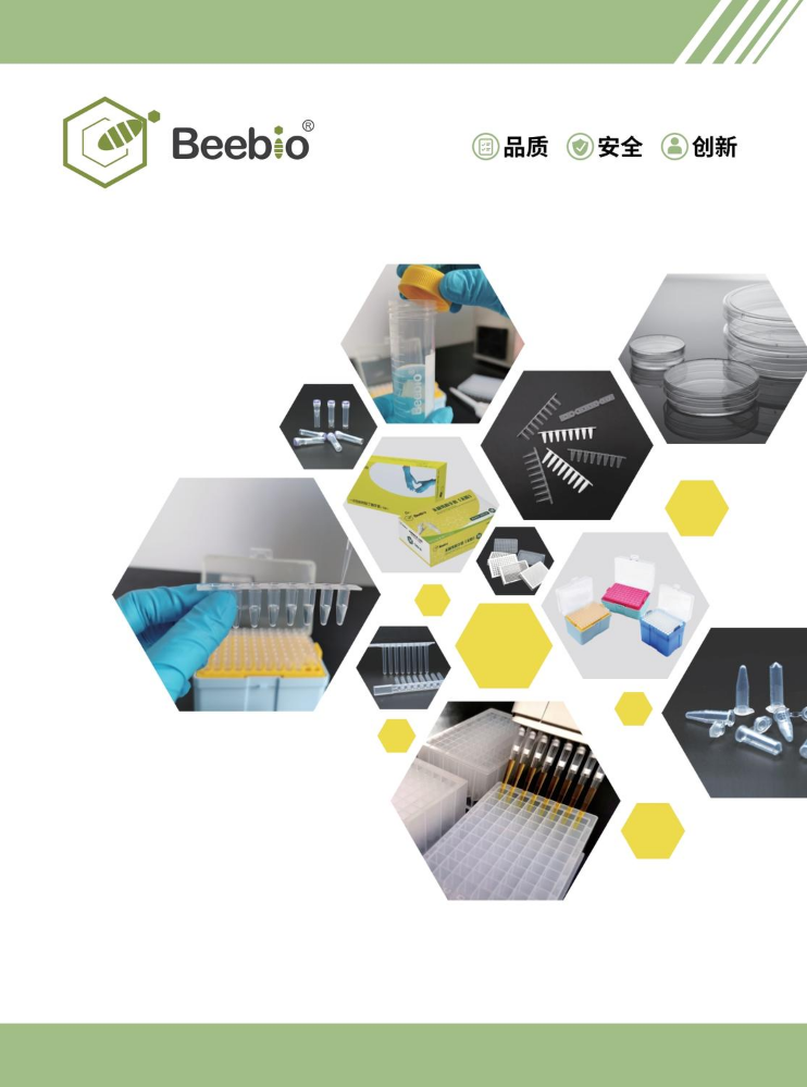 beebio 宣传册