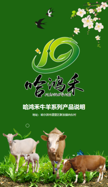 哈尔滨鸿禾饲料牛羊产品说明